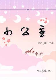 小公主n