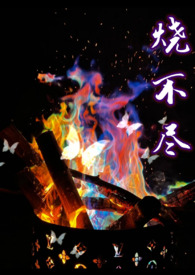 烧不尽1v1